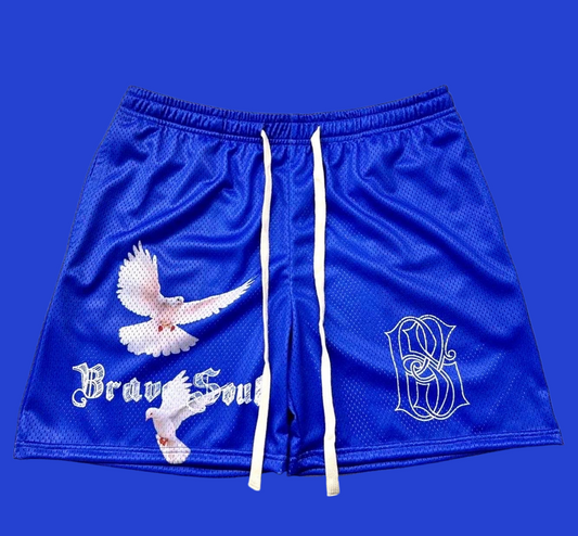 Brave Soul “Varlet” shorts (Blue/White)