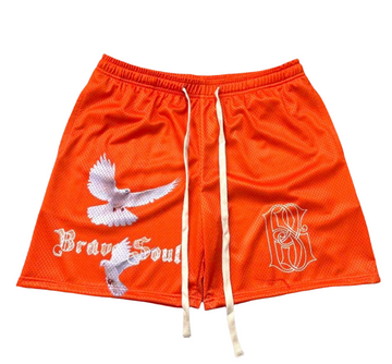 Brave Soul “Varlet” shorts (Orange/White)